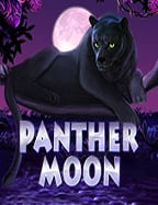 Jungle King โบนัส: สูตรที่จะทำให้คุณชนะ